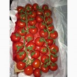 Огурцы помидоры оптом