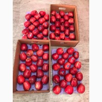 Яблоки различных сортов оптом (пр-во Турция)