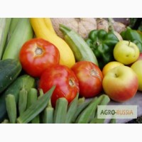 Плодо-овощная консервация, замороженные фрукты и ягоды, фрукты напрямую из Сербии оптом