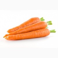 Продам морковь урожай 2019 джанкой цена договорная качество высшие