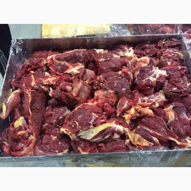 Фото 7. Мясо говядина оптом от производителя