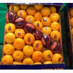 Прямая поставка мандарин от производителя