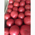 Продам помидор из Краснодара