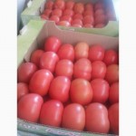 Продам помидор из Краснодара