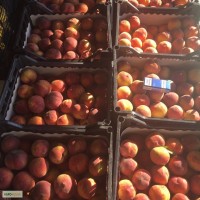 Продам персик, абрикос Македония