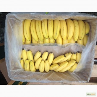 Бананы с незначительными механическими повреждениями
