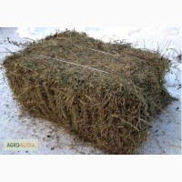 Продажа сена (тимофеевка, овсянница, луговое) от 5 000 руб/т