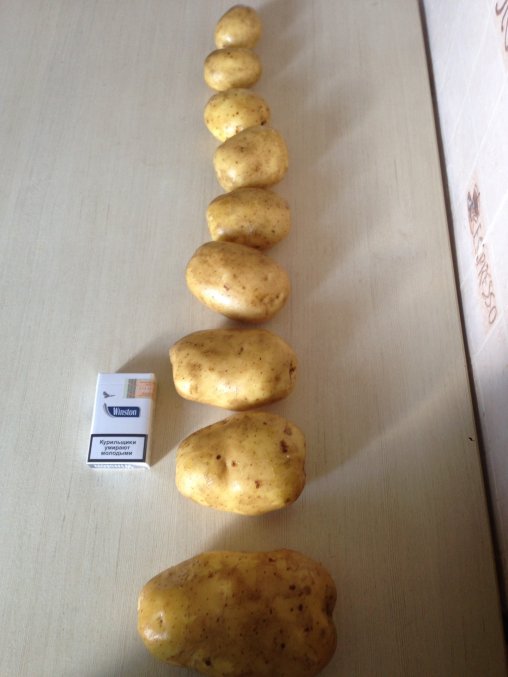 Фото 2. Купим картофель из России, Белоруссии, Молдовы и других стран