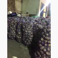 Картофель урожай 2019 года со склада в Ярославле