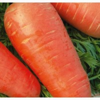 Продам семена моркови Кардоба F1 (100000)фр.1, 6-1, 8