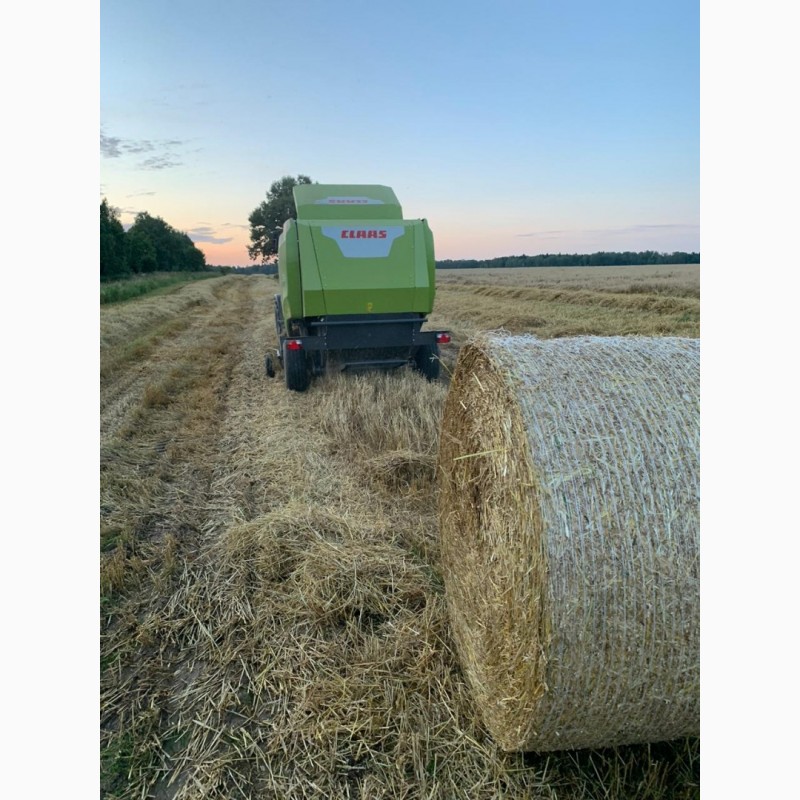 Фото 3. Сено разнотравье и солома урожай 2020 пшеничная и ячменная в рулонах, высокого качества