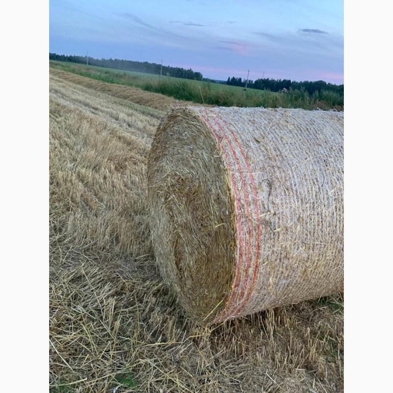 Фото 4. Сено разнотравье и солома урожай 2020 пшеничная и ячменная в рулонах, высокого качества