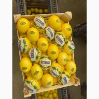 Лимон (пр-во Турция)