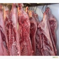 Продам деревенскую фермерскую свинину в полутушах