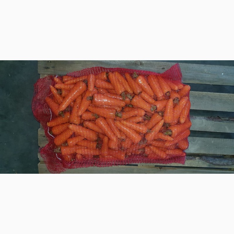 Фото 4. Морковь продам, сорт Каскад