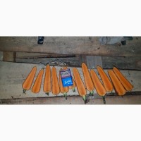 Морковь продам, сорт Каскад
