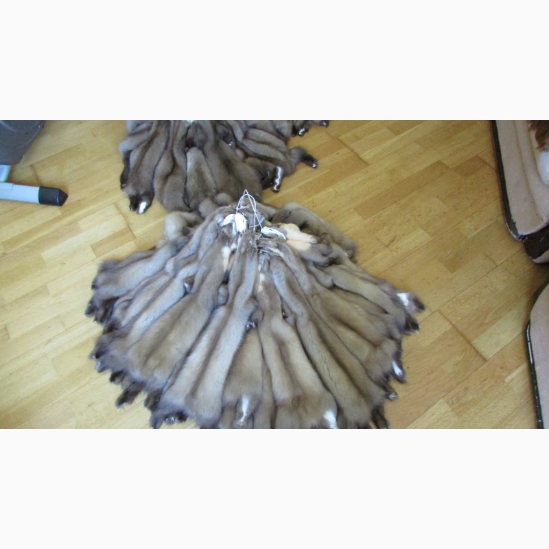 Фото 2. Продается мех лесной куницы