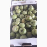Продаем сортовые яблоки