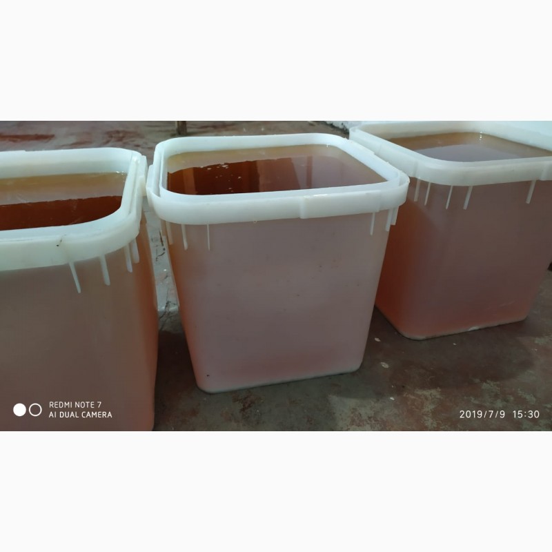 Фото 3. ООО сантарин, реализует мёд, продукты пчеловодства