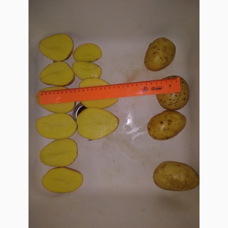 Фото 4. Картофель чистый, оптом от производителя