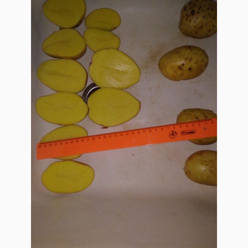 Фото 7. Картофель чистый, оптом от производителя