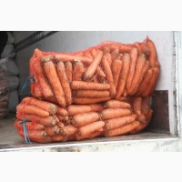 Морковь оптом, от ФХ 10р урожай 2020 г