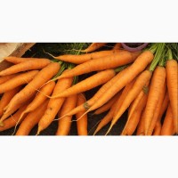 Морковь хорошее качество