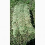 Луговое сено в тюках сенокос 2016 года