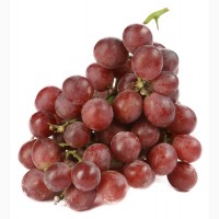 Закупаем Виноград для социальных нужд эконом сегмента от 1 до 20 тонн на постоянной основе