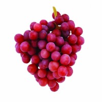 Закупаем Виноград для социальных нужд эконом сегмента от 1 до 20 тонн на постоянной основе