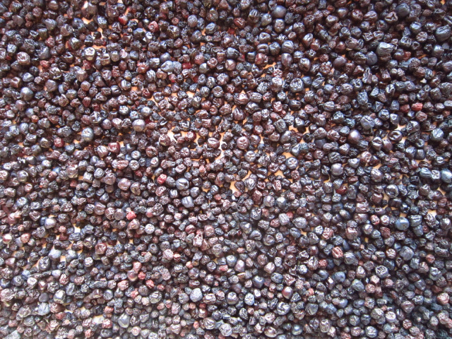 Фото 3. Продам сушеную черноплодную рябину черноплодку аронию