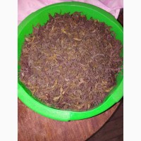 Продам Иван чай ферментированный гранулированный и листовой Сибирский с таёжными травами