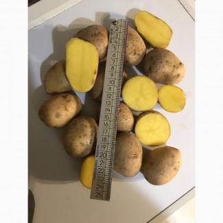 Картофель калибр до 3.5) 4