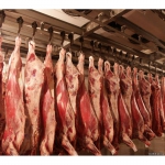 Продаем говядину оптом (напрямую от производителя - фермерские хозяйства Татарстана и Удм