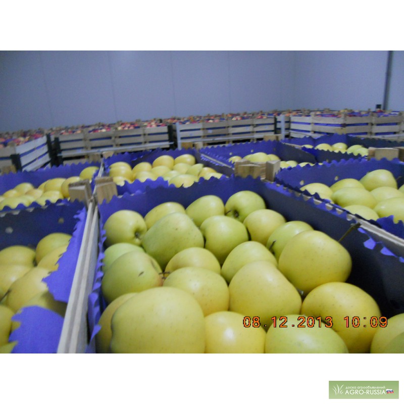 Фото 5. Свежие фрукты яблоки в Сербии