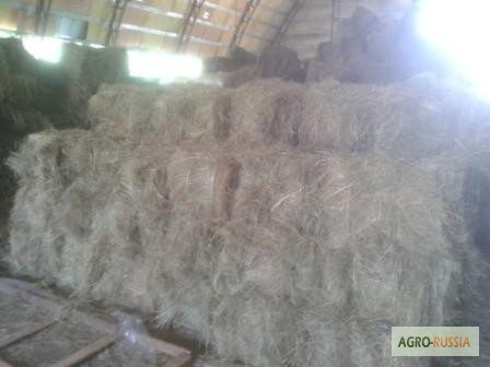Фото 6. Продажа сена.Сено из люцерны, тимофеевки, cено в рулонах, сено в кипах и корма для лошадей