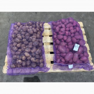 Продажа картофеля оптом от крупнейшего хозяйства УРФО