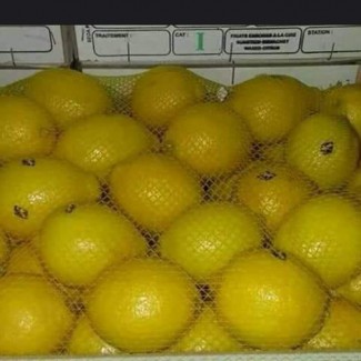 Лимоны из Марокко