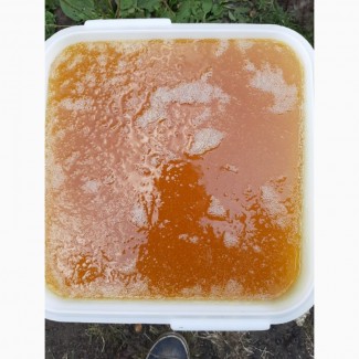 Продам цветочный мёд