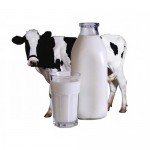 Молоко, молочная продукция оптом от производителя