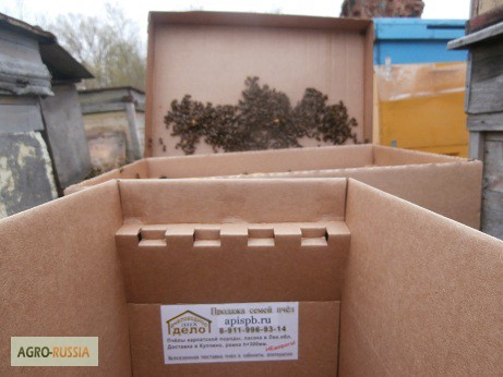 Фото 12. Пакеты для перевозки пчел