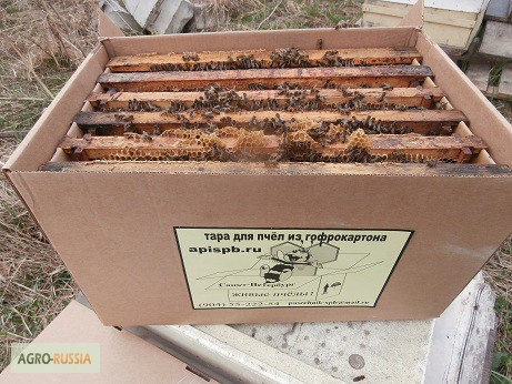 Фото 13. Пакеты для перевозки пчел
