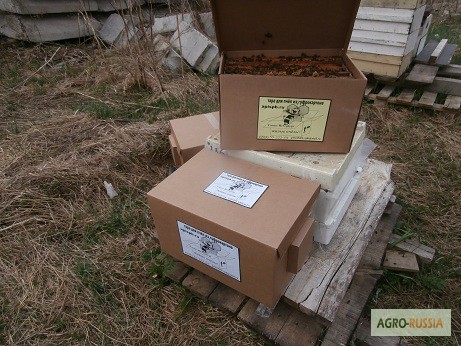 Фото 14. Пакеты для перевозки пчел