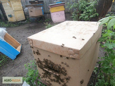 Фото 16. Пакеты для перевозки пчел