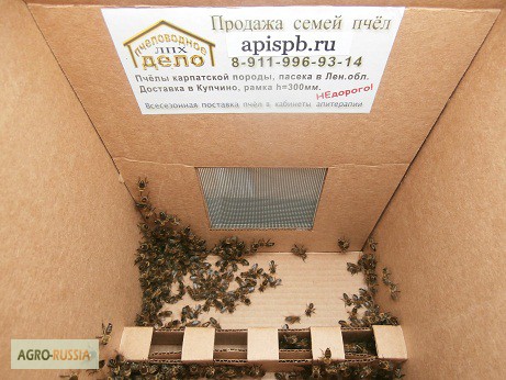 Фото 8. Пакеты для перевозки пчел