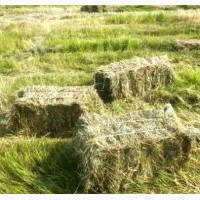 Крестьянско - фермерское хозяйство предлагает к реализации сено