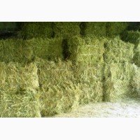 Крестьянско - фермерское хозяйство предлагает к реализации сено