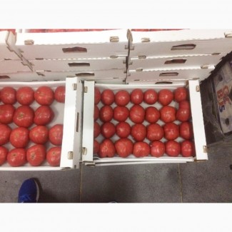 К оптовой продаже по цене от производителя готов помидор Розовый
