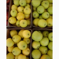 Яблоки оптом напрямую от Крымского производителя
