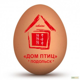 Прямые поставки инкубационного яйца Cobb-500 и Ross-308 из Польши, Чехии, Белоруссии